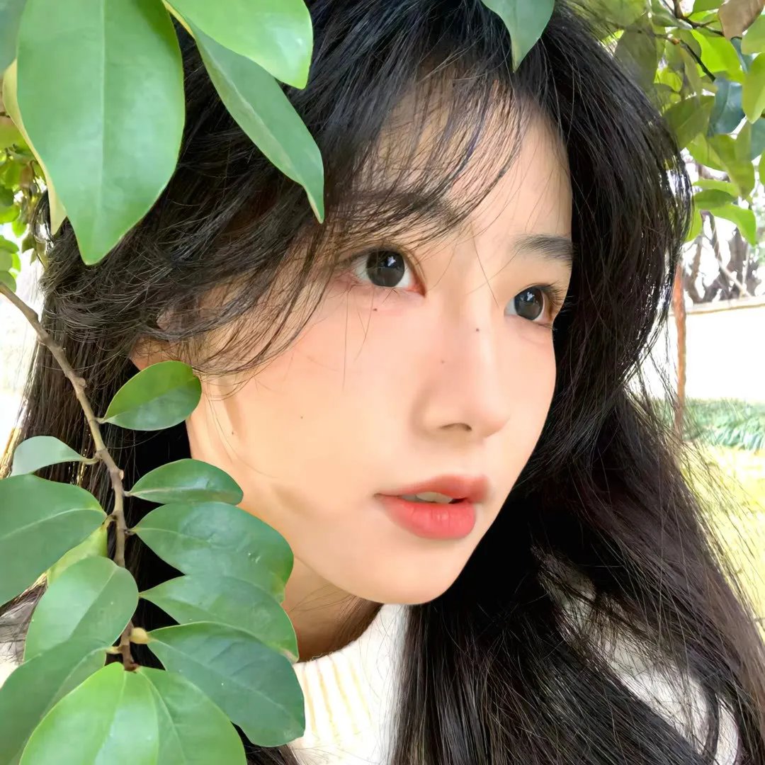 我亲爱的失败者之怪物浪漫